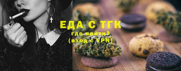 стаф Медногорск
