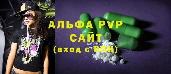 стаф Медногорск
