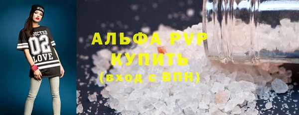 стаф Медногорск