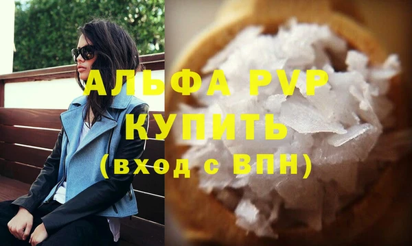 стаф Медногорск