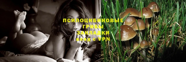 каннабис Медвежьегорск