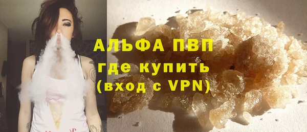 стаф Медногорск